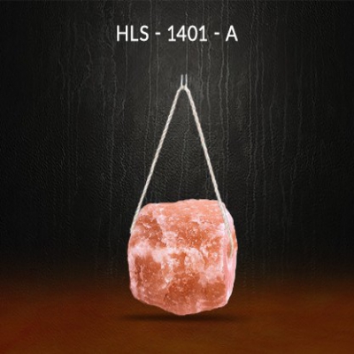 HLS - 1401image